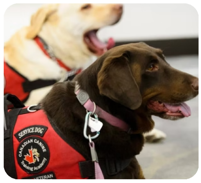 image 2025 11 01 215542561