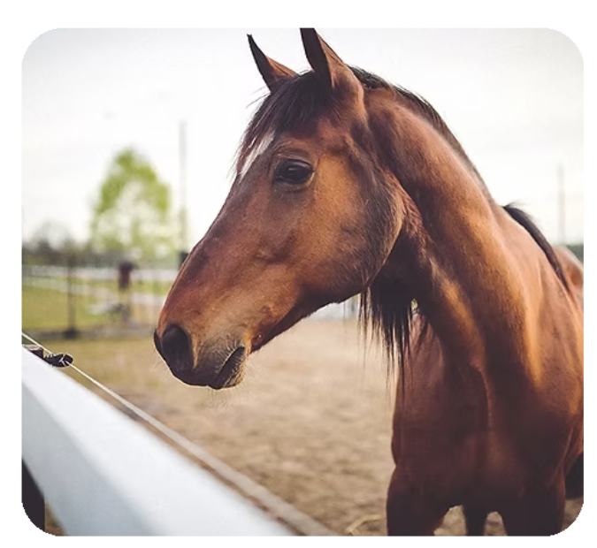 image 2025 11 01 215714355